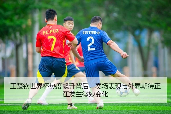 wang-chu-qin-shi-jie-bei-re-du-biao-sheng-bei-hou-sai-chang-biao-xian-yu-wai-jie-qi-dai-zheng-zai-fa-sheng-wei-miao-3-428.jpg